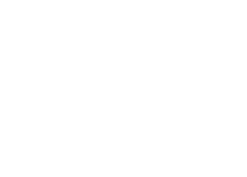 Aykut Bayrak
